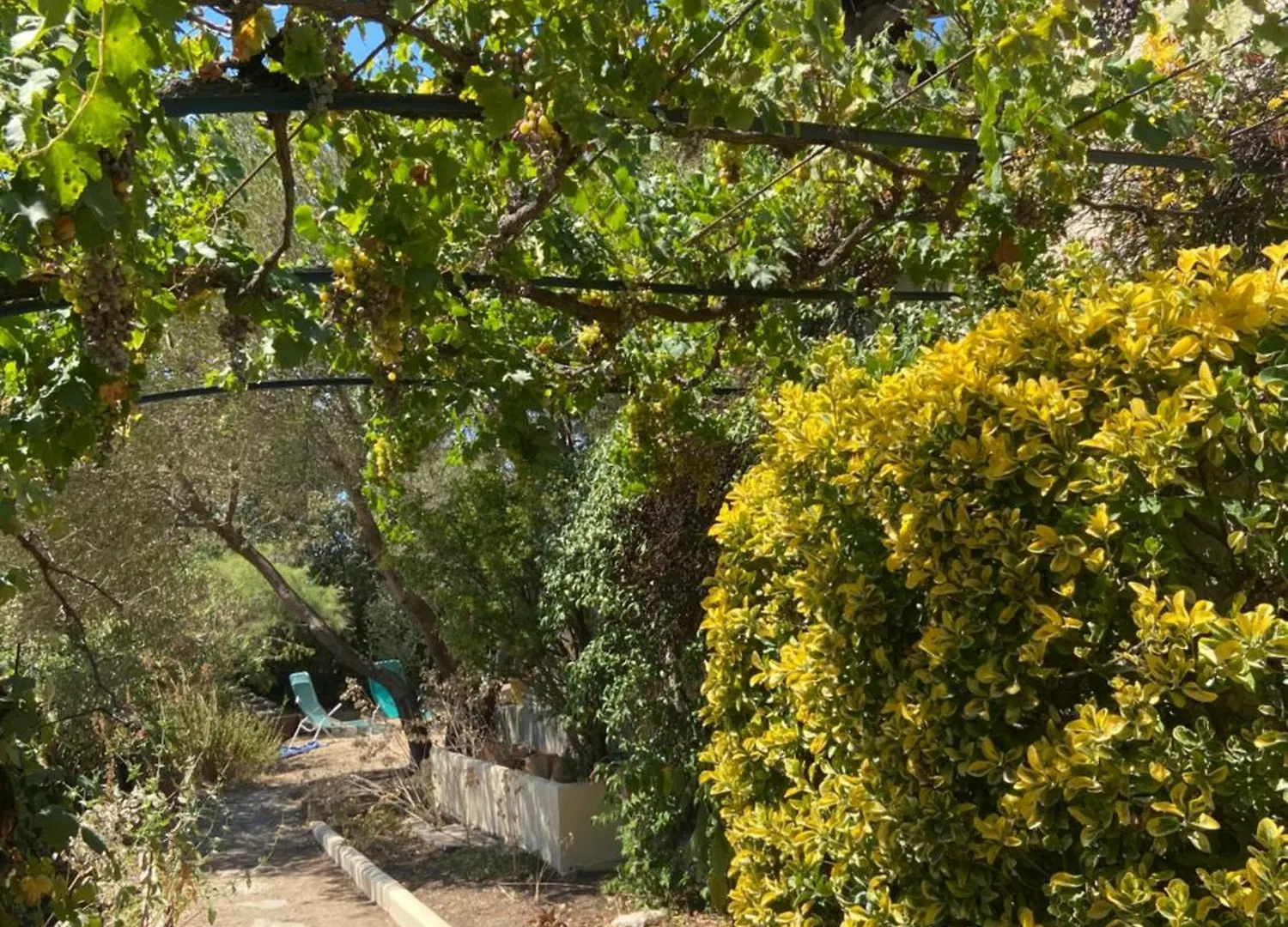 Evasion En Provence Bas De Villa Avec Jardin & Vignes, Soleil & Fraicheur Les Pennes-Mirabeau